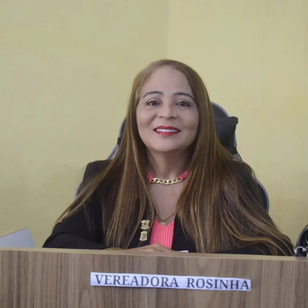 Foto 4 – 4ª Sessão Ordinária de 2025