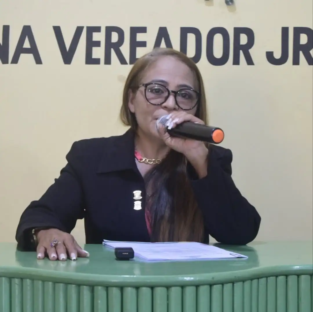 Foto 7 – 4ª Sessão Ordinária de 2025