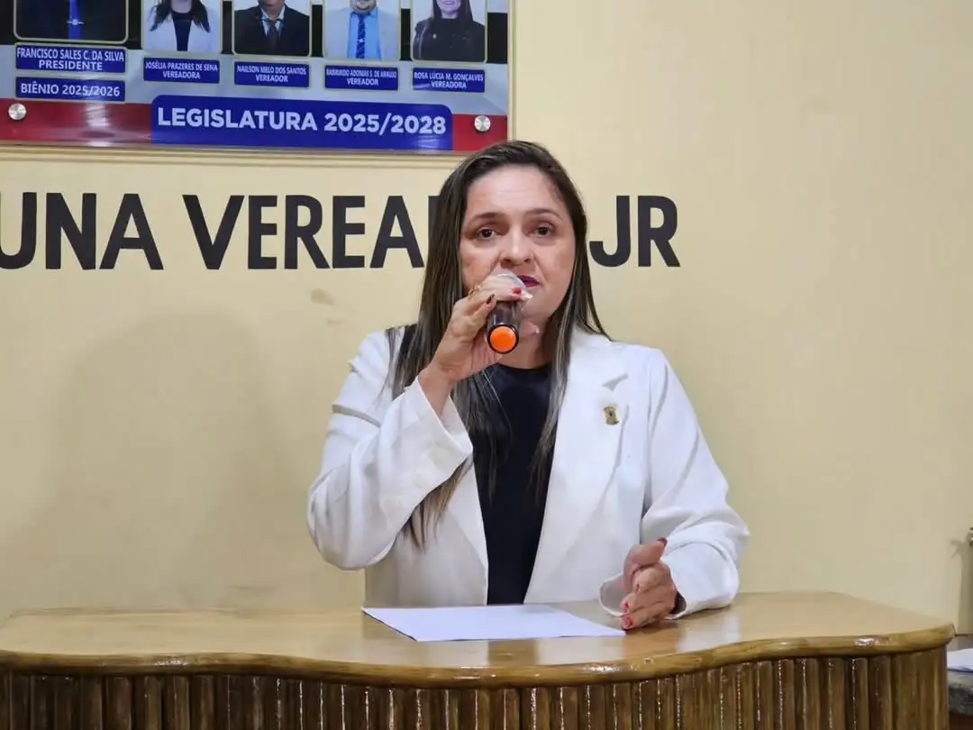 Foto 5 – 17ª Sessão Ordinária de 2025